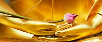 Prasada Griffioen. lichaamswerk, therapie, meditatie, rebalancing, cranio-sacraal, Amsterdam 